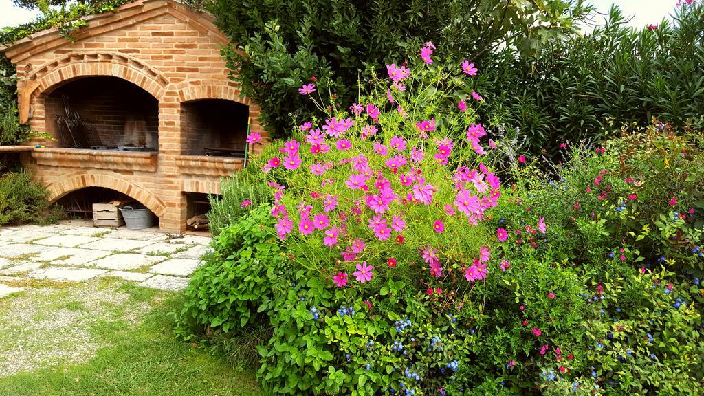 Podere Cunina Buonconvento Bagian luar foto